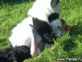 Jucărie panda și adolescenta fals facial