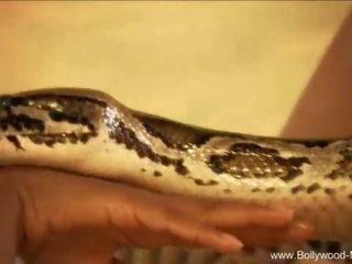 บอลลีวูด และ the สวยงาม snake